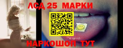 индика Ярославль