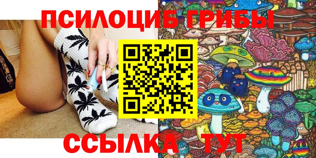 Псилоцибиновые грибы Cubensis Тосно