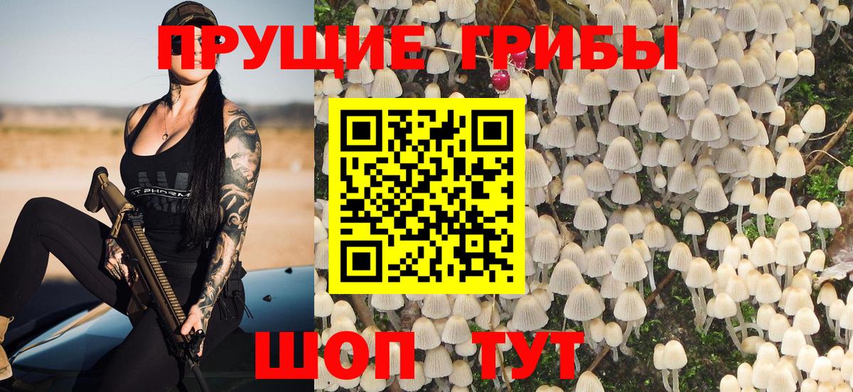 Галлюциногенные грибы мухоморы  Псилоцибиновые грибы Psilocybe  Тосно  Вход с VPN 
